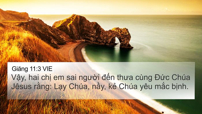 Giăng 11:3 VIE Bible Verse Image