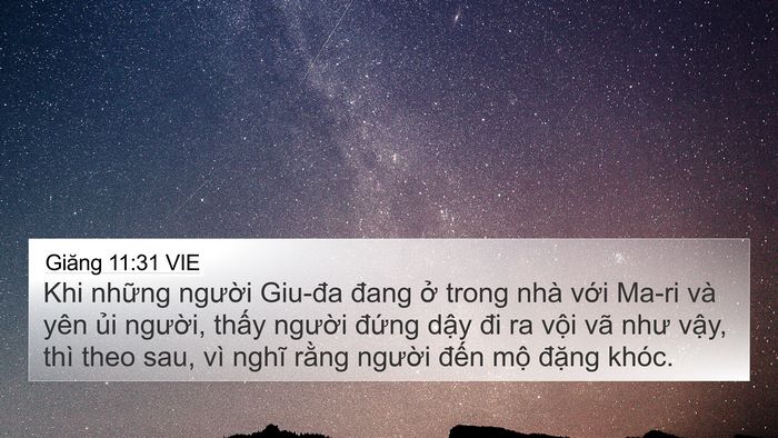 Giăng 11:31 VIE Bible Verse Image