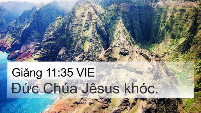 Giăng 11:35 VIE Bible Verse Image