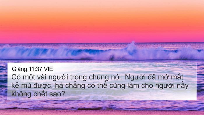 Giăng 11:37 VIE Bible Verse Image