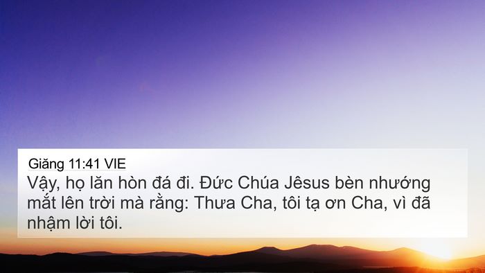 Giăng 11:41 VIE Bible Verse Image