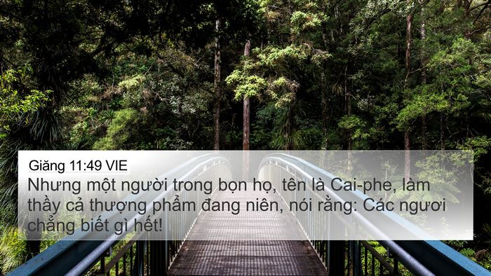 Giăng 11:49 VIE Bible Verse Image