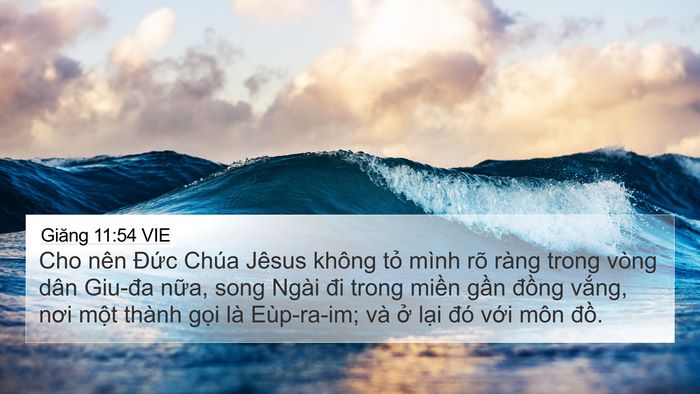 Giăng 11:54 VIE Bible Verse Image