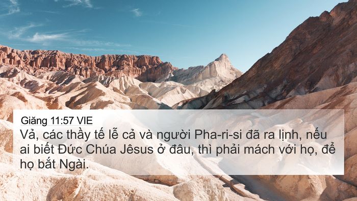 Giăng 11:57 VIE Bible Verse Image