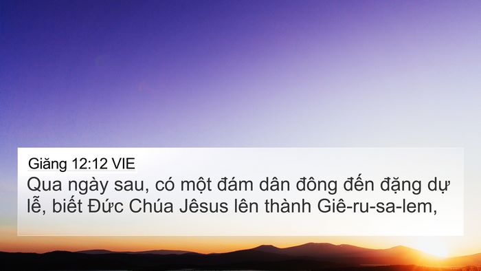 Giăng 12:12 VIE Bible Verse Image