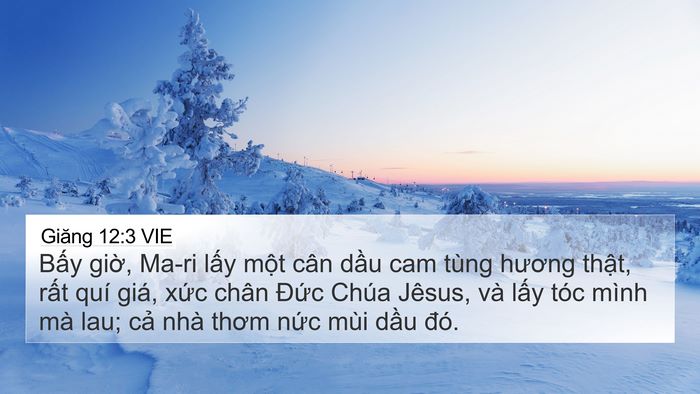 Giăng 12:3 VIE Bible Verse Image