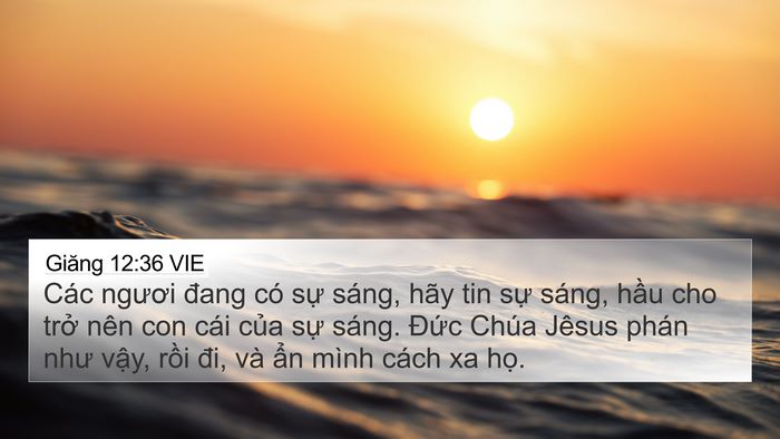 Giăng 12:36 VIE Bible Verse Image