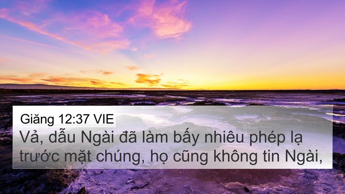 Giăng 12:37 VIE Bible Verse Image