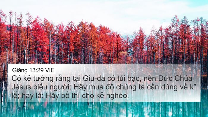 Giăng 13:29 VIE Bible Verse Image