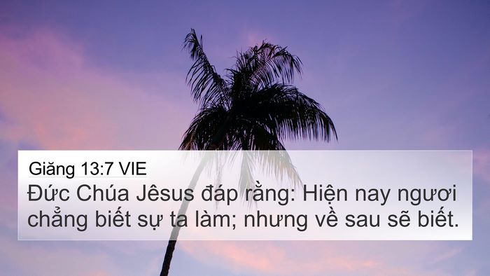 Giăng 13:7 VIE 4K Wallpaper - Đức Chúa Jêsus đáp rằng: Hiện nay - 4K Wallpaper Bible Verse
