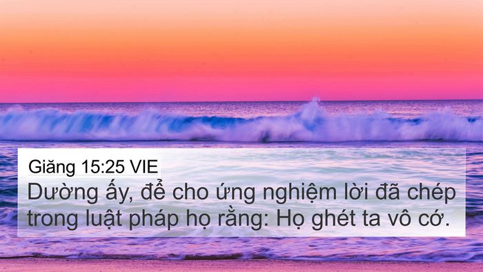 Giăng 15:25 VIE Bible Verse Image