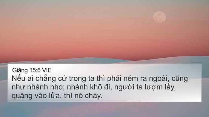 Giăng 15:6 VIE Bible Verse Image