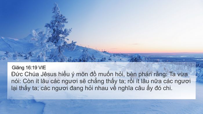 Giăng 16:19 VIE Bible Verse Image