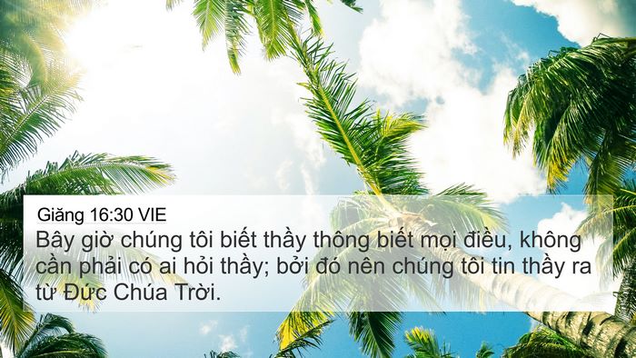 Giăng 16:30 VIE Bible Verse Image