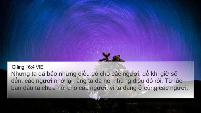 Giăng 16:4 VIE Bible Verse Image