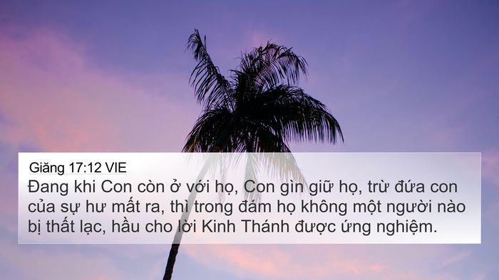 Giăng 17:12 VIE Bible Verse Image