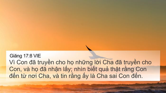 Giăng 17:8 VIE Bible Verse Image