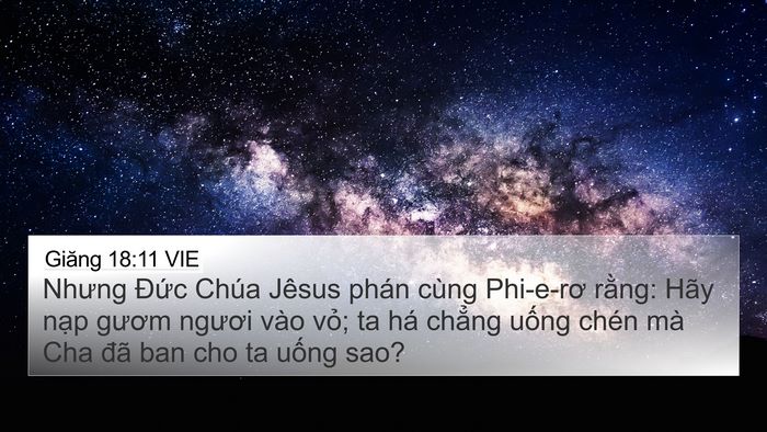 Giăng 18:11 VIE Bible Verse Image
