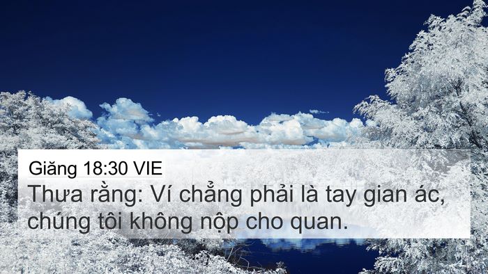 Giăng 18:30 VIE Bible Verse Image