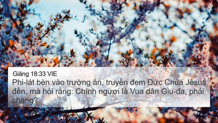 Giăng 18:33 VIE Bible Verse Image
