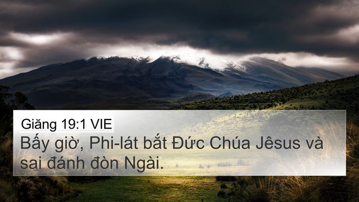 Giăng 19:1 VIE Bible Verse Image