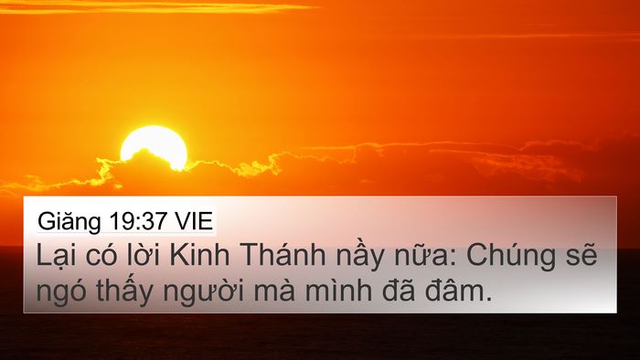 Giăng 19:37 VIE Bible Verse Image