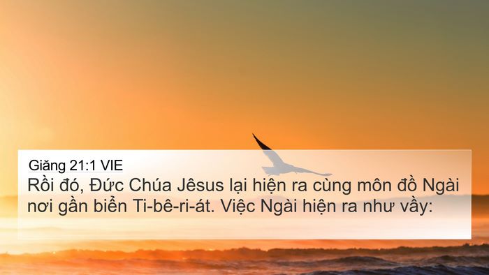 Giăng 21:1 VIE Bible Verse Image