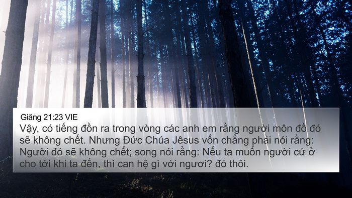 Giăng 21:23 VIE Bible Verse Image