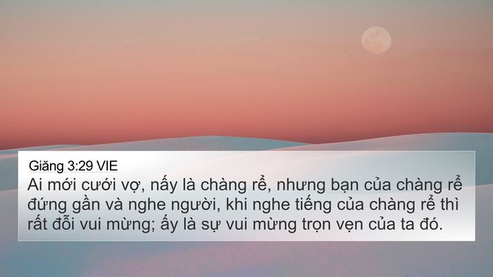Giăng 3:29 VIE Bible Verse Image