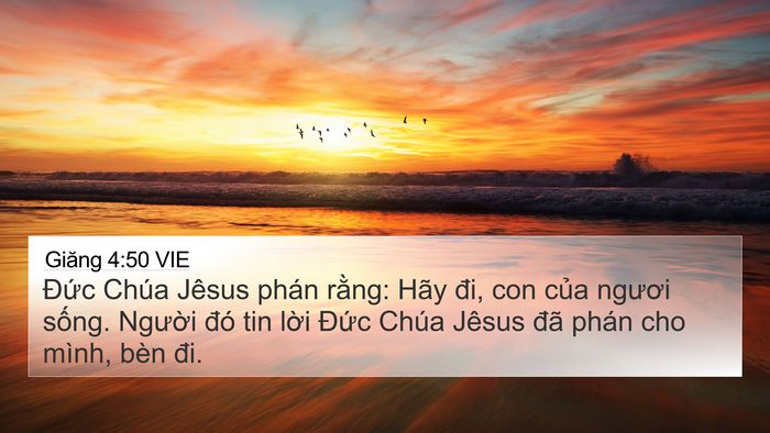 Giăng 4:50 VIE Bible Verse Image