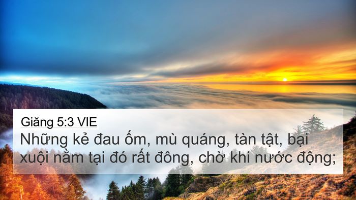 Giăng 5:3 VIE Bible Verse Image