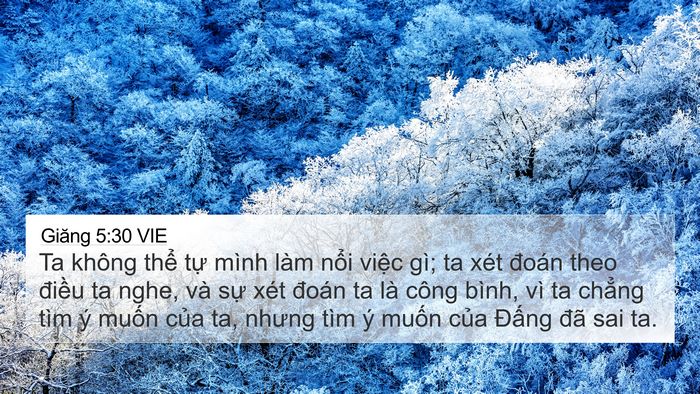 Giăng 5:30 VIE Bible Verse Image