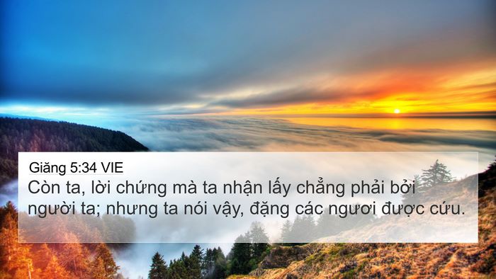 Giăng 5:34 VIE Bible Verse Image