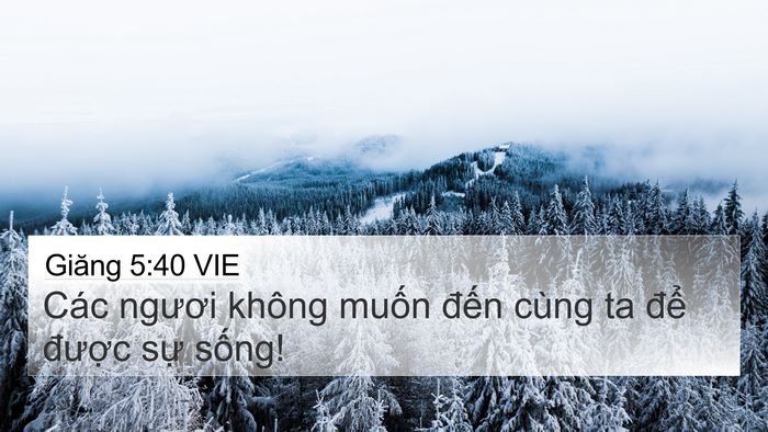Giăng 5:40 VIE Bible Verse Image