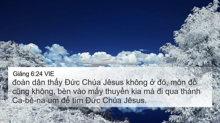 Giăng 6:24 VIE Bible Verse Image