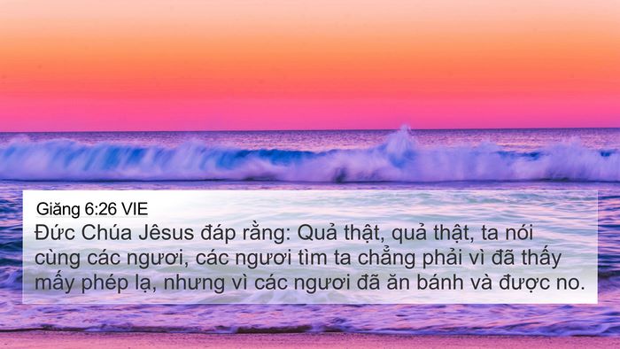 Giăng 6:26 VIE Bible Verse Image