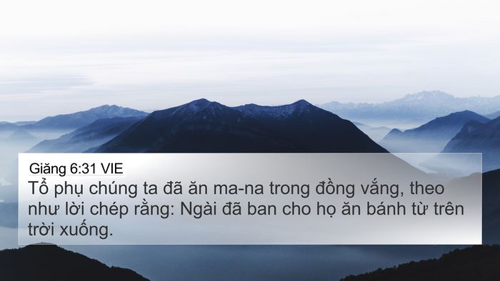 Giăng 6:31 VIE Bible Verse Image