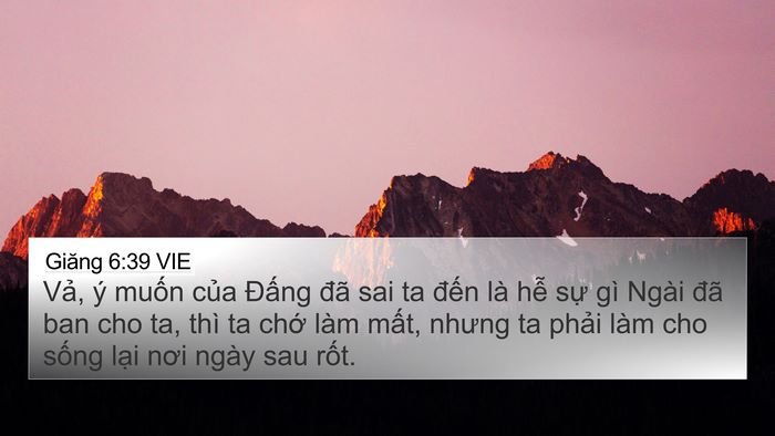 Giăng 6:39 VIE Bible Verse Image
