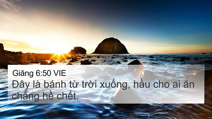 Giăng 6:50 VIE Bible Verse Image