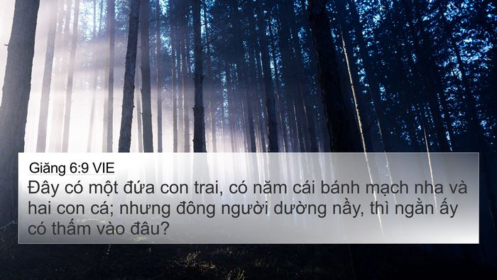 Giăng 6:9 VIE Bible Verse Image