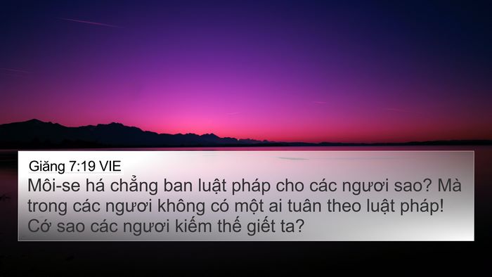 Giăng 7:19 VIE Bible Verse Image
