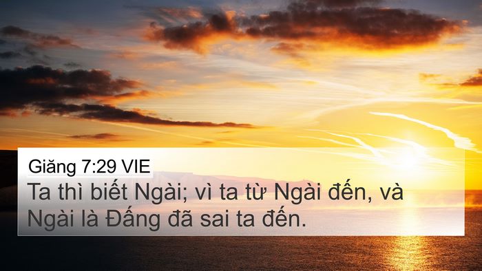 Giăng 7:29 VIE Bible Verse Image