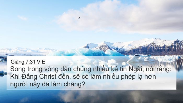 Giăng 7:31 VIE Bible Verse Image