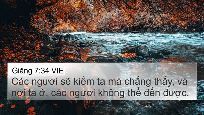 Giăng 7:34 VIE Bible Verse Image