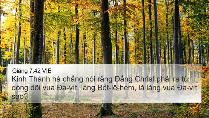 Giăng 7:42 VIE Bible Verse Image