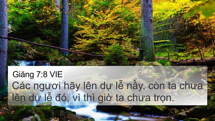 Giăng 7:8 VIE Bible Verse Image