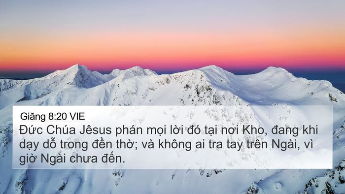 Giăng 8:20 VIE Bible Verse Image