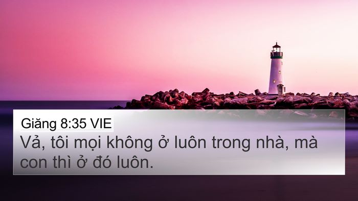 Giăng 8:35 VIE Bible Verse Image
