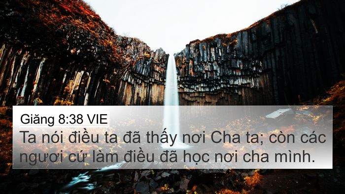 Giăng 8:38 VIE Bible Verse Image