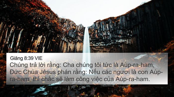 Giăng 8:39 VIE Bible Verse Image